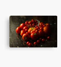 Fresh Tomatoes Canvas Print