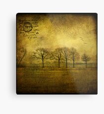 near Amsterdam Metal Print