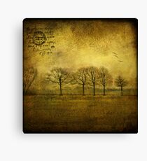 near Amsterdam Canvas Print
