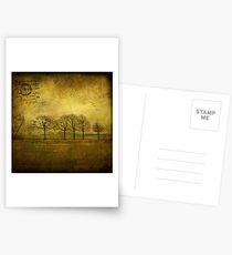 near Amsterdam Postcards