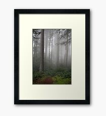 Going Framed Print