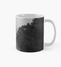 Wasser in Wein Tasse (Standard)