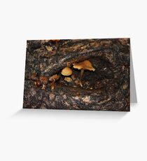 Home Sweet Home Greeting Card