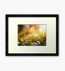 Nature scene close up Framed Print