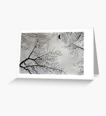 November sky Greeting Card