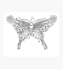 Moth in Bloom Photographic Print