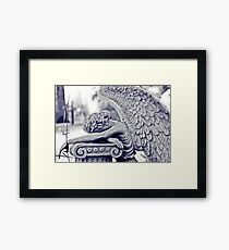 Anguish Framed Print