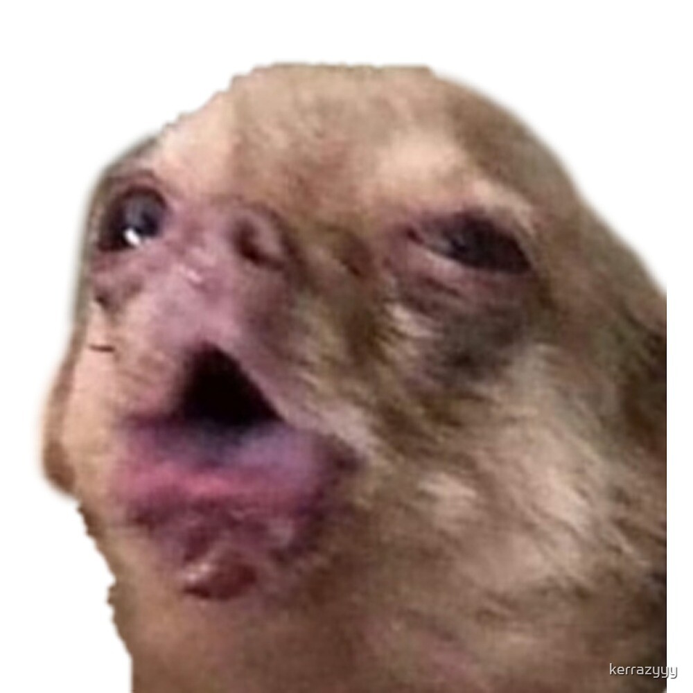 "coughing chihuahua " by Kerry Brennan Redbubble