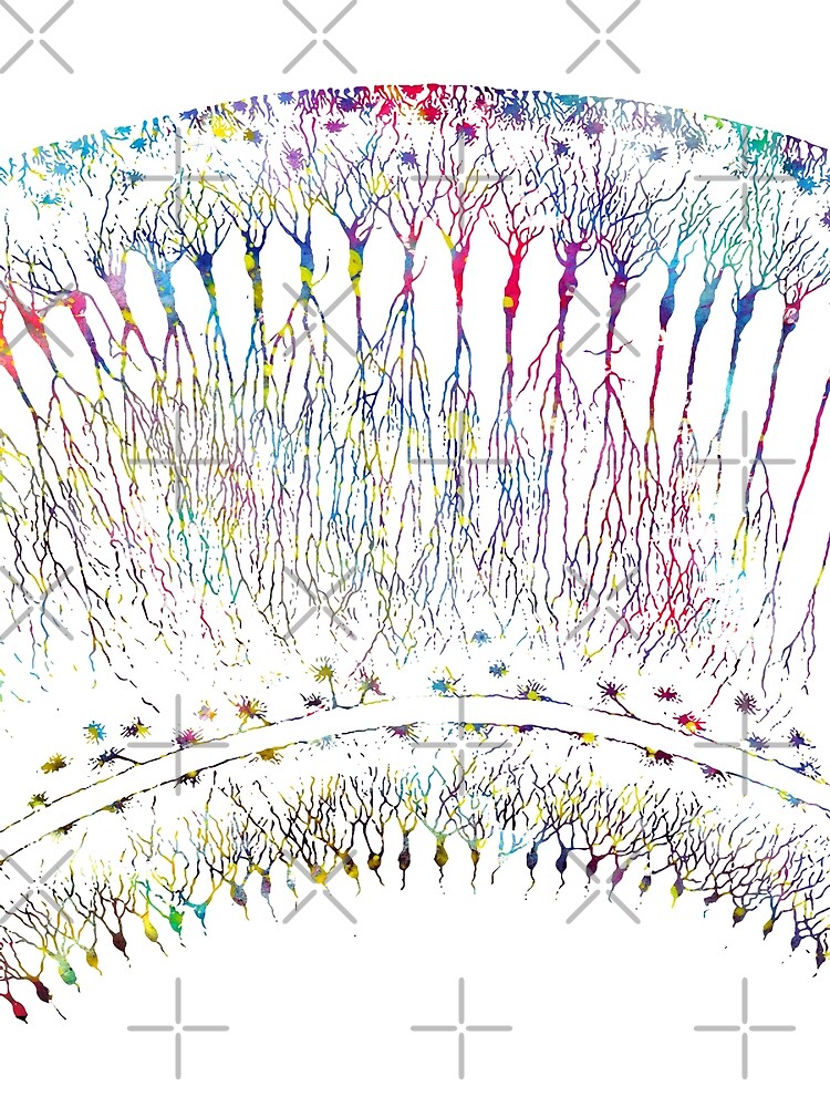 "Cortical Neurons" By Erzebetth | Redbubble