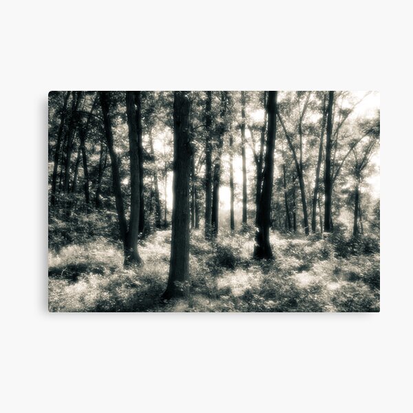 A Place Where Time Does Not Matter Canvas Print