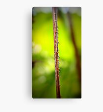 Spike Green Canvas Print
