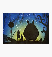 Small Spirits (Totoro) Photographic Print