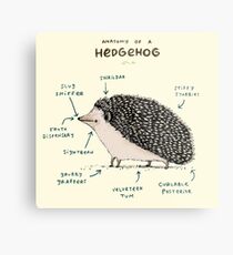 Anatomy of a Hedgehog Metal Print