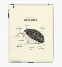 Anatomie eines Igels iPad-Hülle & Klebefolie