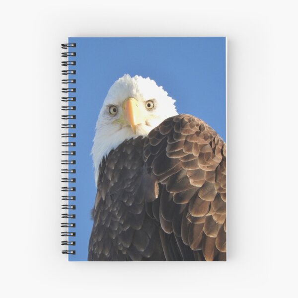 Bald Eagle Spiral Notebook