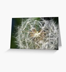 Dandelion Greeting Card