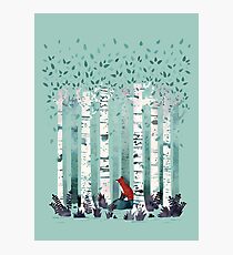 The Birches Photographic Print