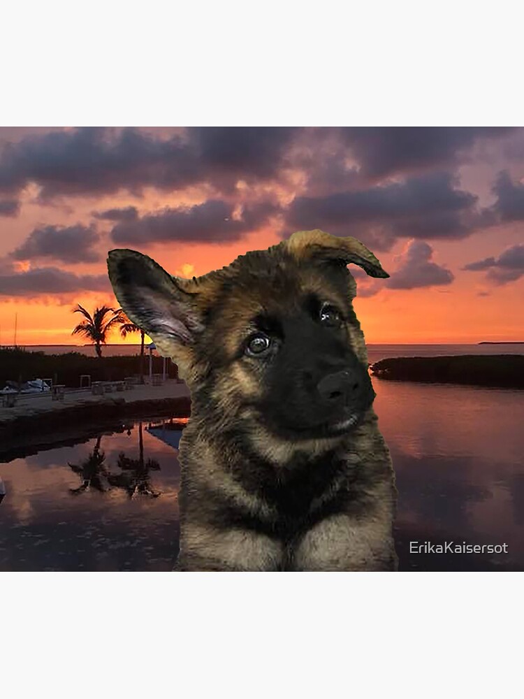 Loki German Shepherd by ErikaKaisersot