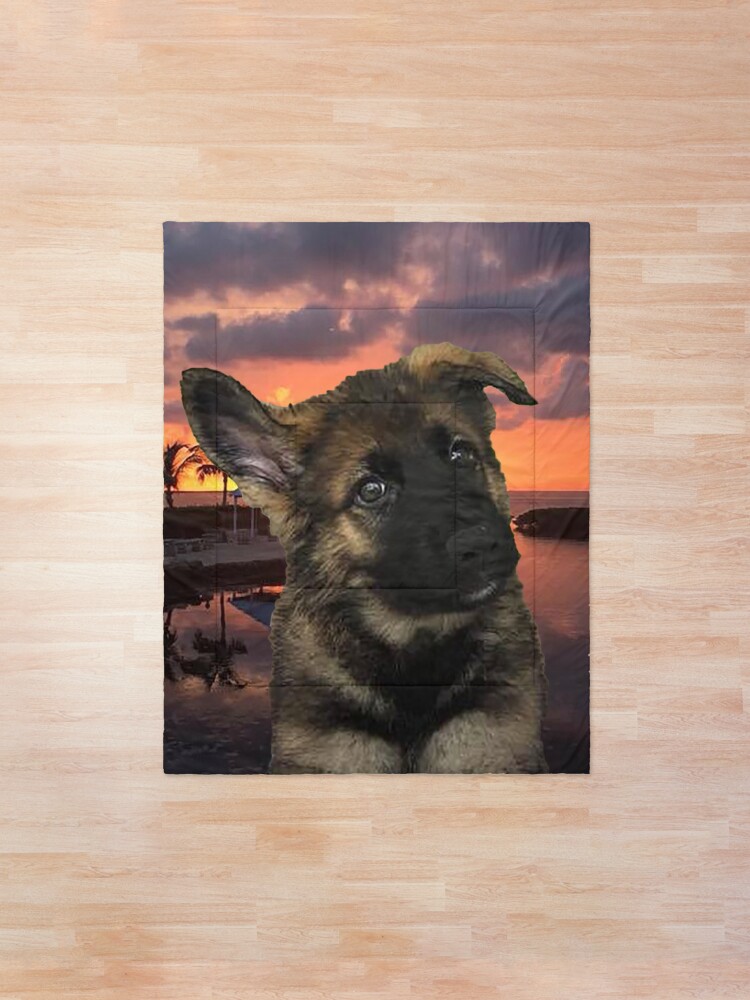 Alternate view of Loki German Shepherd Comforter