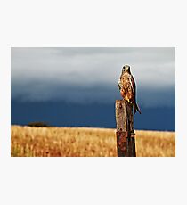 Contrast Photographic Print