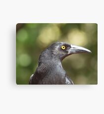 We Can't All Be Beautiful! Canvas Print