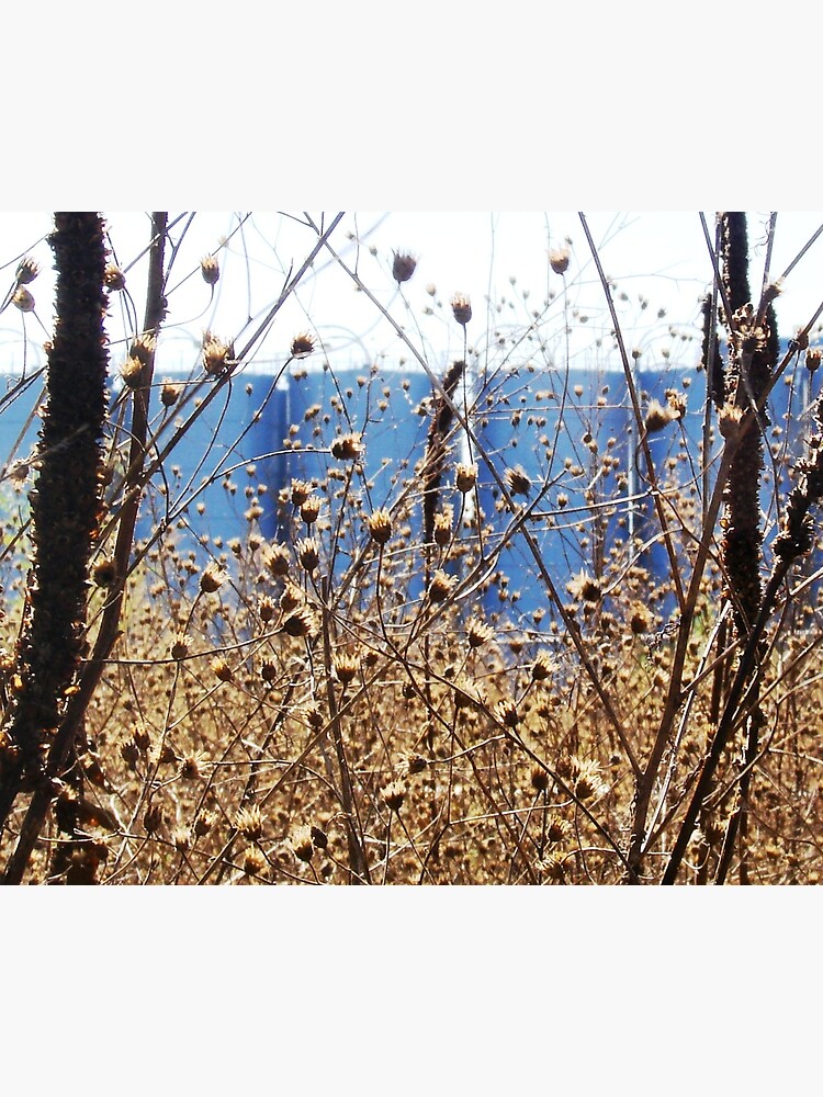 Railroad Right Of Way 3m Plant Cottage Grove Mn Greeting Card