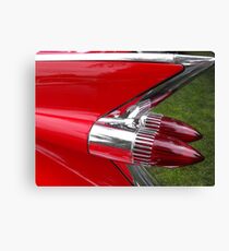 Red Tail Canvas Print