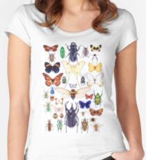 Insect collection Women's Fitted Scoop T-Shirt