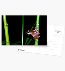 Vietnamese Frog Postcards