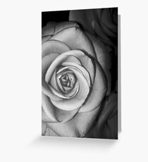 Rose 1 Greeting Card