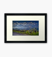Filfla Malta Framed Print