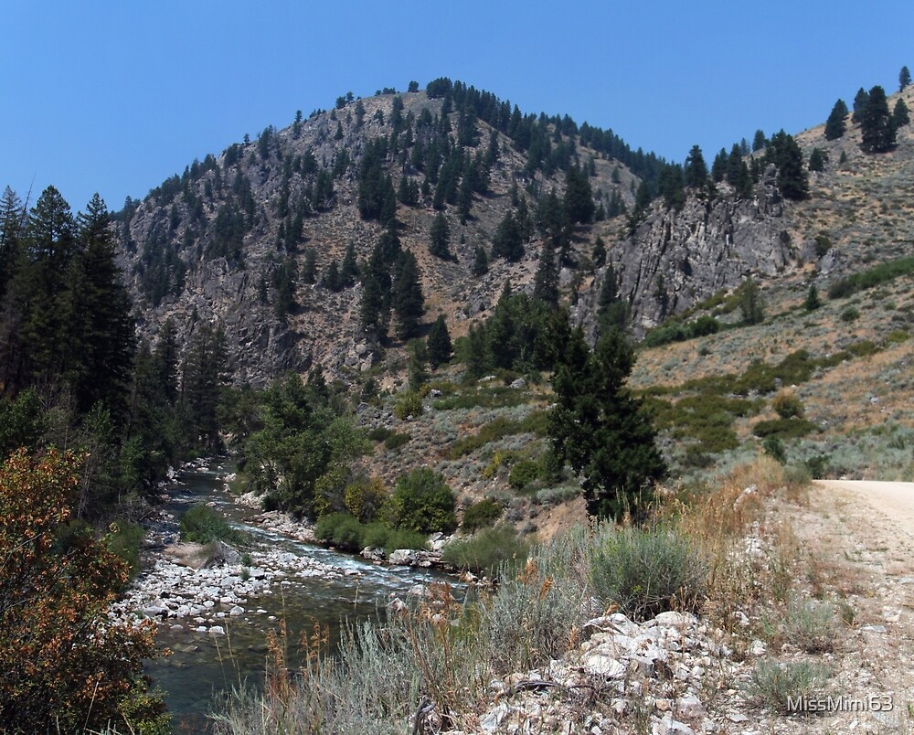 "South Fork of the Boise River Idaho" by MissMimi63 Redbubble