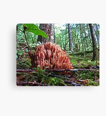 Coral Leinwanddruck