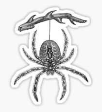 Spinne Sticker