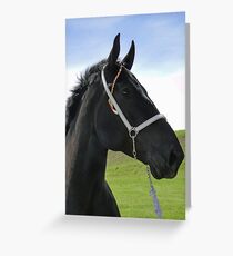 Classic Percheron Greeting Card