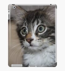 Kitten Love iPad Case/Skin
