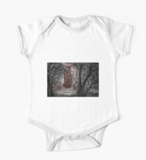 Hidden Ruin One Piece - Short Sleeve