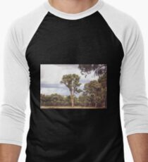 Stately Eucalyptus Tree Men's Baseball ¾ T-Shirt