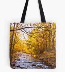 End of Fall! Tote Bag