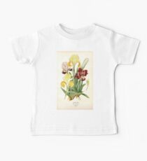 Favourite flowers of garden and greenhouse Edward Step 1896 1897 Volume 4 0091 Dwarf Iris Baby Tee