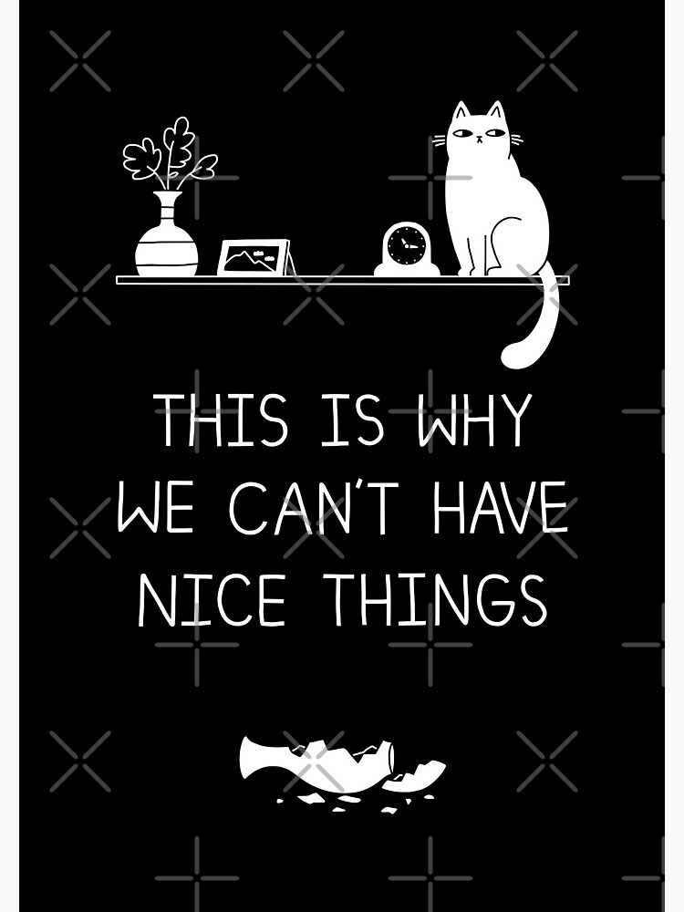 This Is Why We Can't Have Nice Things by obinsun