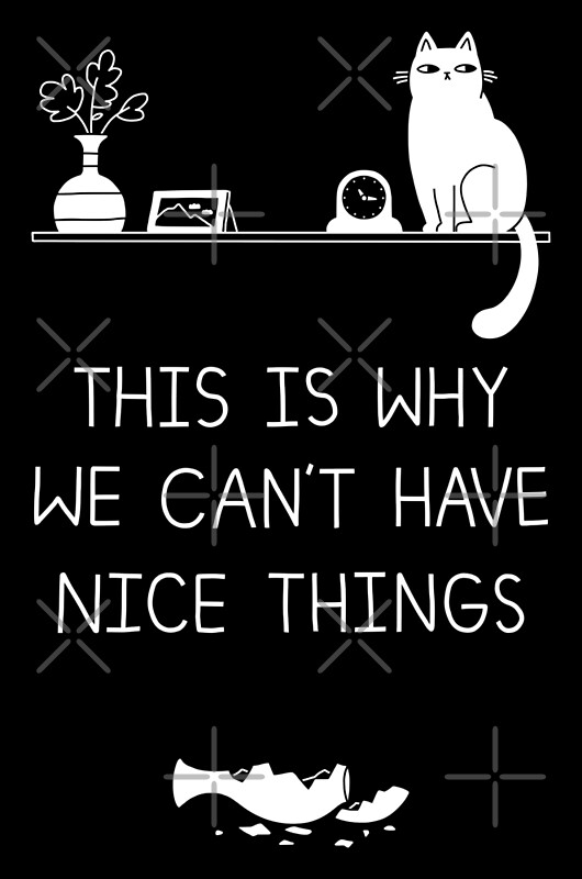 "This Is Why We Can't Have Nice Things" by obinsun | Redbubble