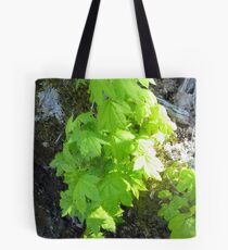 Soakin' Up the Sun Tote Bag