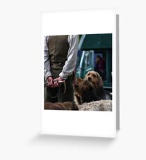 Hounds. Greeting Card