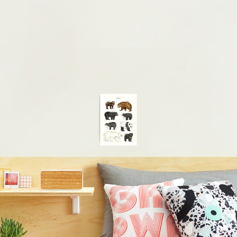 Bears Photographic Print