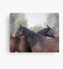 I'll Scratch Yours Canvas Print