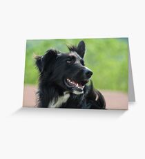 Portrait Greeting Card