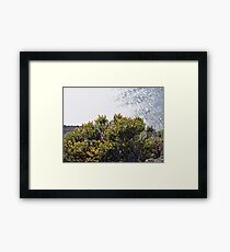 Long Leap Down Framed Print