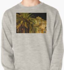 money doesn't grow on trees Pullover