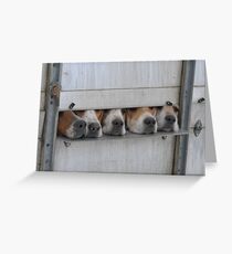 Hounds Greeting Card